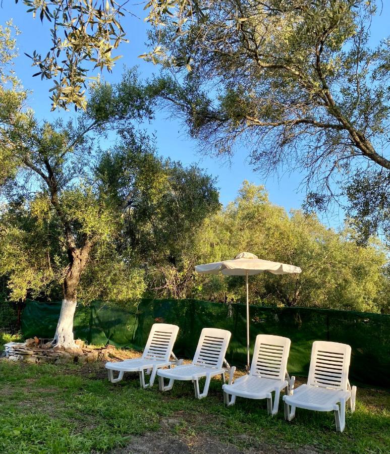 Endless Green: Feel Free And Cozy In Nature Perivolion Exterior photo
